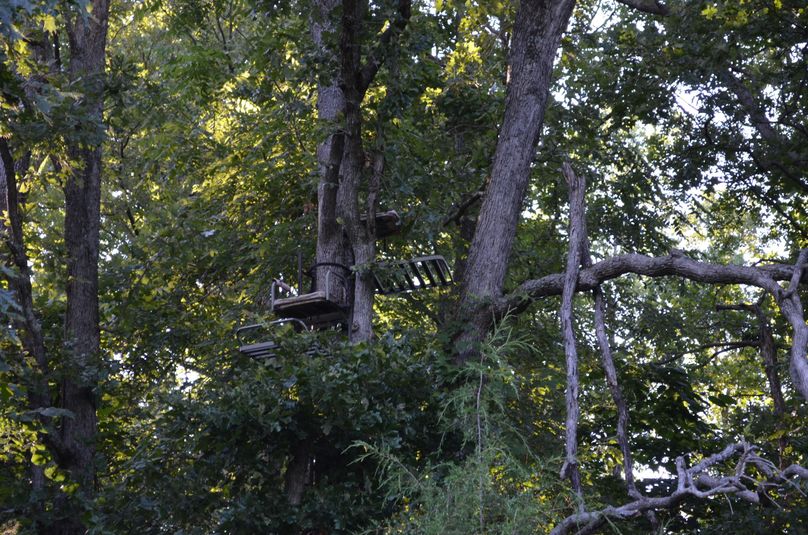 Xtreme whitetail 276