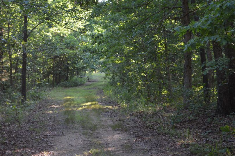 Xtreme whitetail 293