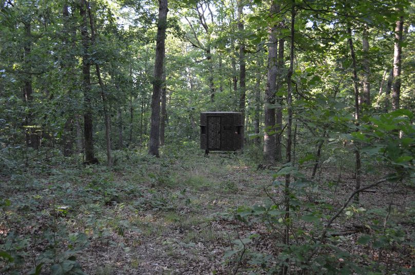 Xtreme whitetail 302