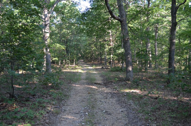 Xtreme whitetail 319