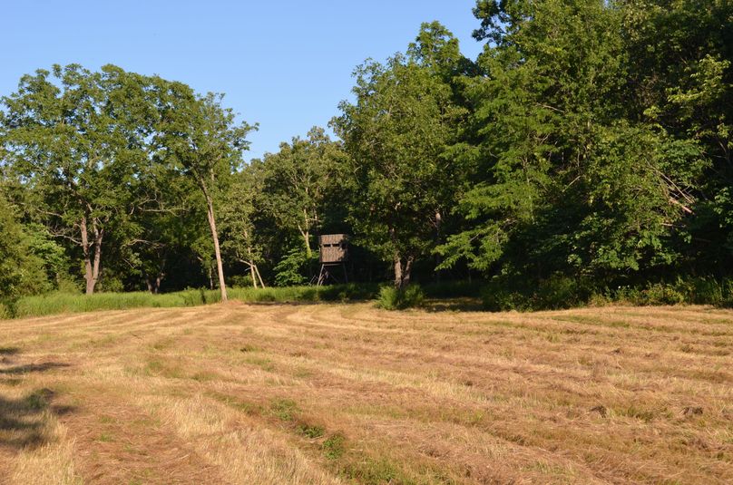 Xtreme whitetail 330