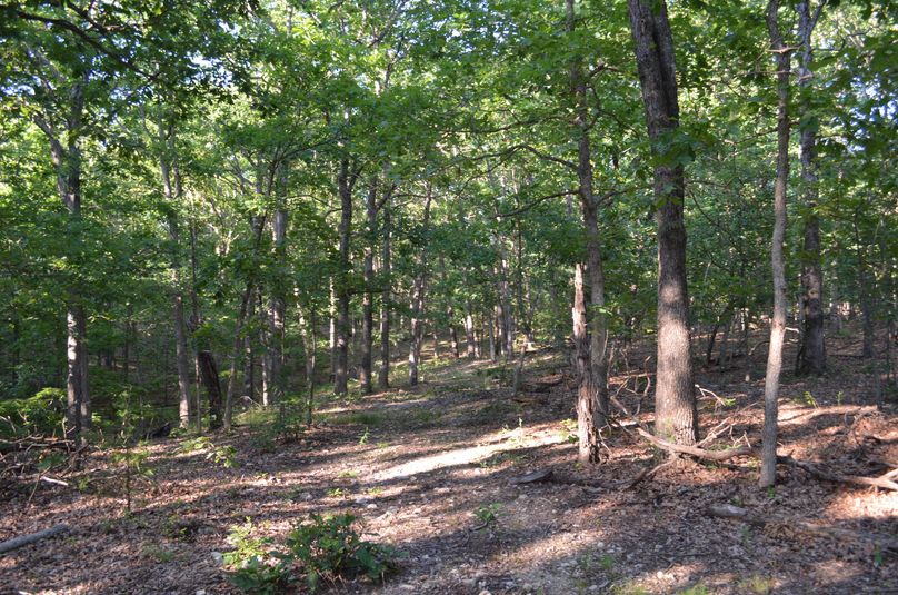 Xtreme whitetail 346