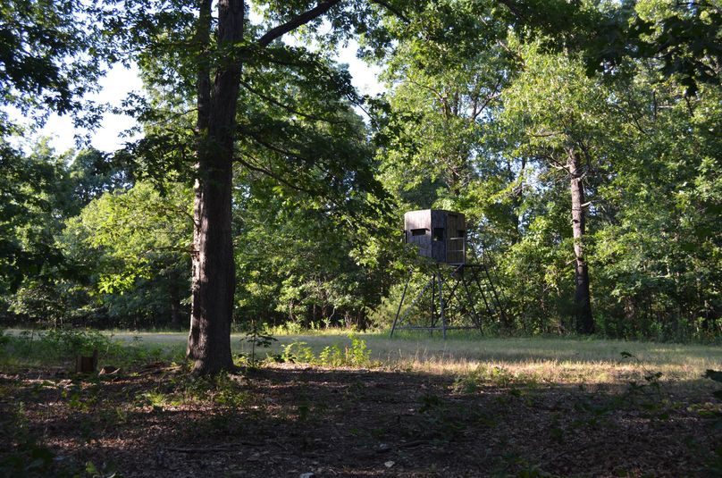 Xtreme whitetail 352