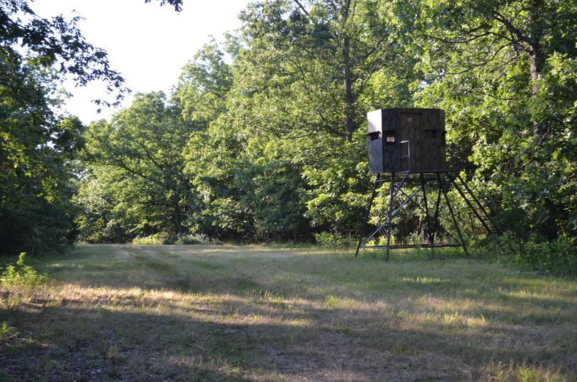 Xtreme whitetail 364