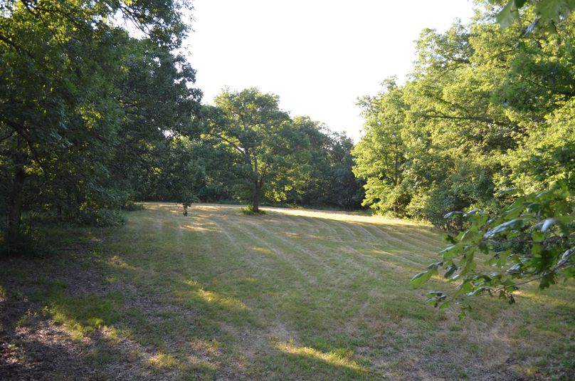 Xtreme whitetail 387