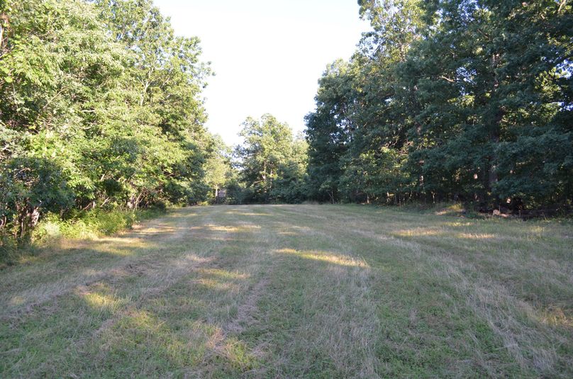 Xtreme whitetail 382