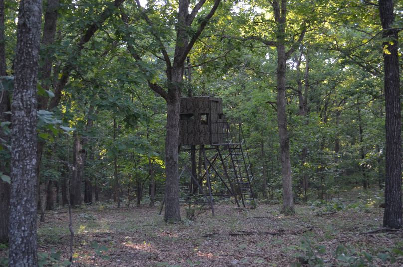 Xtreme whitetail 409