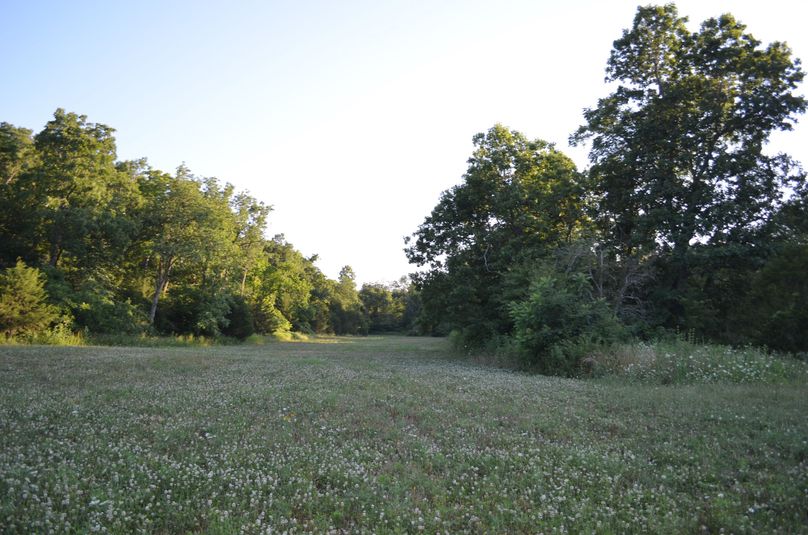 Xtreme whitetail 424