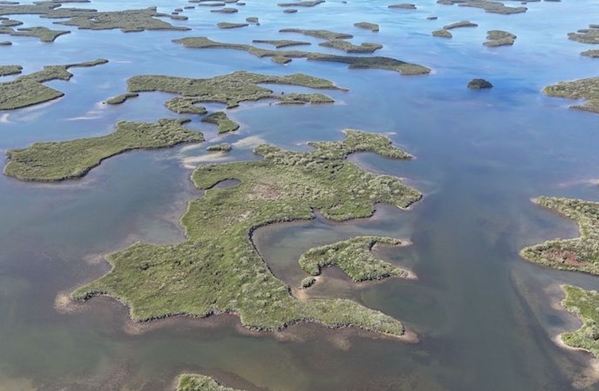 17.17ac, Citrus, Josiah Ronco01