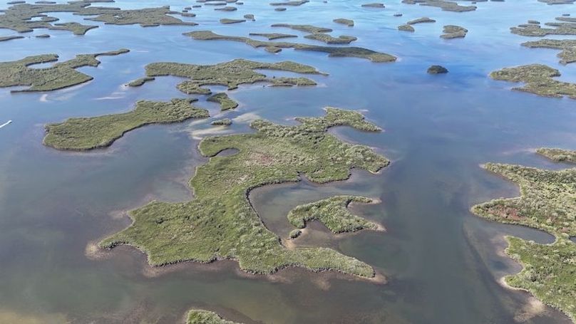 17.17ac, Citrus, Josiah Ronco01