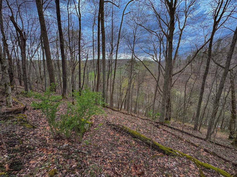Wirt, WV 39.564 AC Full-13