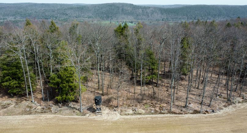 Tioga_NY_144.83_Morgan_Photos_72