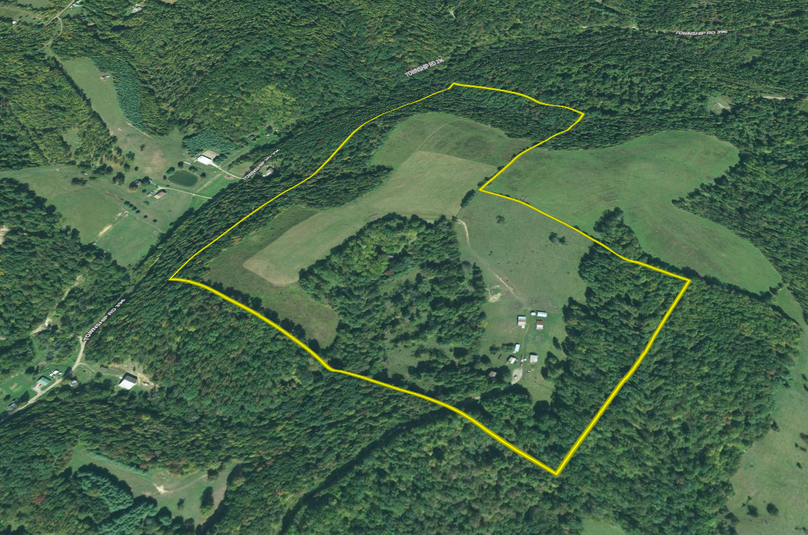 96.56 coshoctonoh flowers aerial 3d