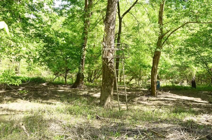 (5)deer stand