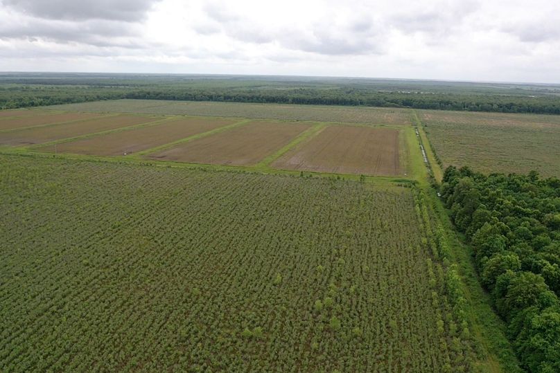 Screen 4ef2748d4b802f53 1621272685251