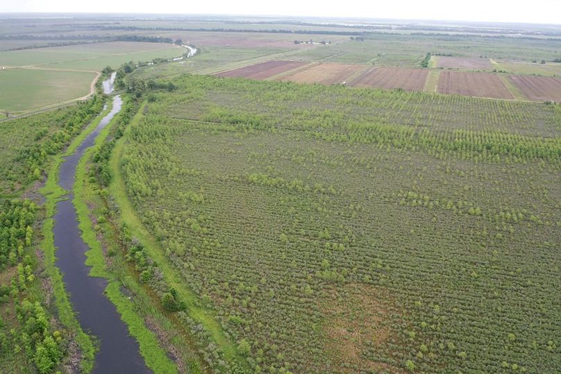 Screen 514856ed9eba1172 1621272713677