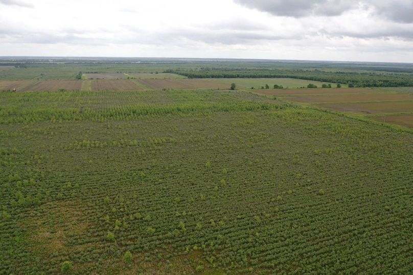 Screen 6c8854c406de5fd9 1621272679345