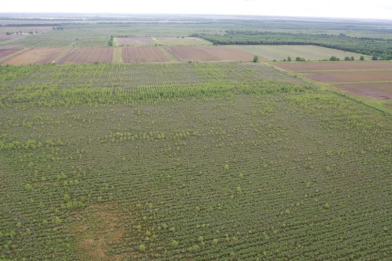 Screen 6ed1a2e9dfeb83ae 1621272717192