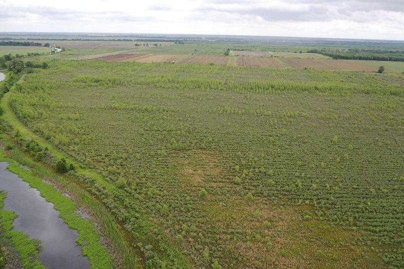 Screen 91928c9745bdde68 1621273013325