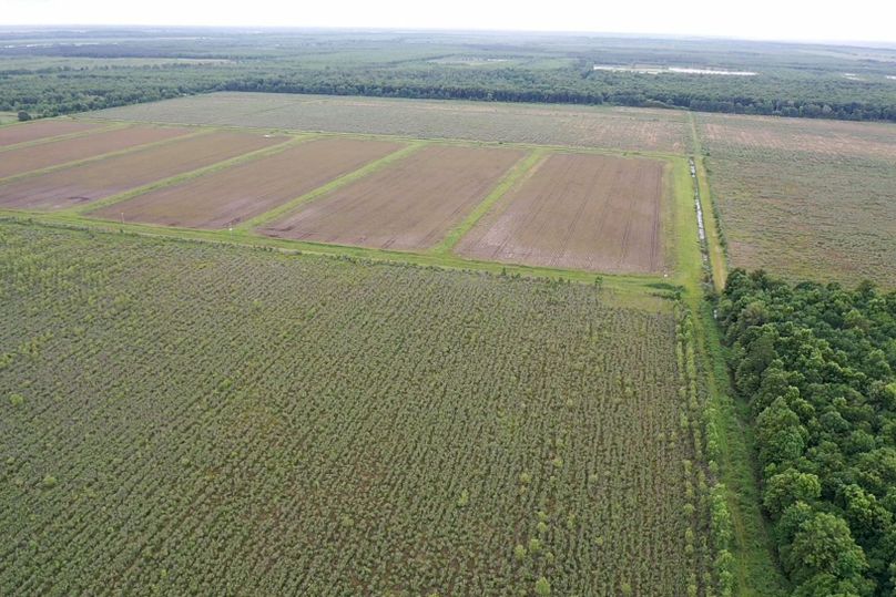 Screen 0266c0a1a5d402a7 1621272721330