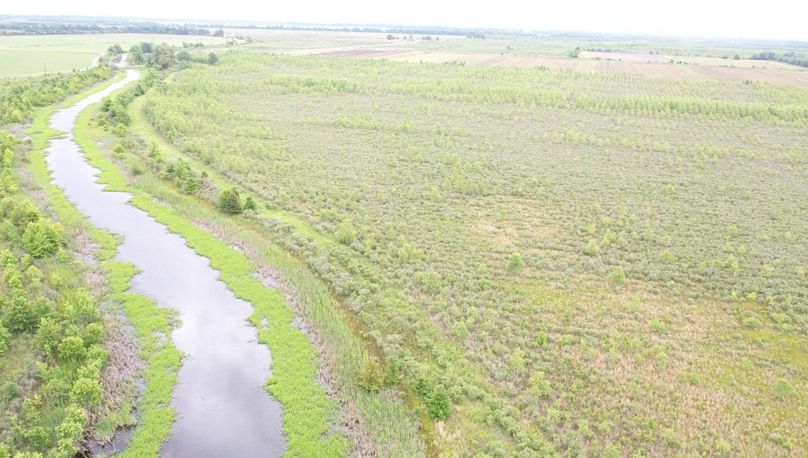 Screen 1e4c825a36a3b8bc 1621273003434