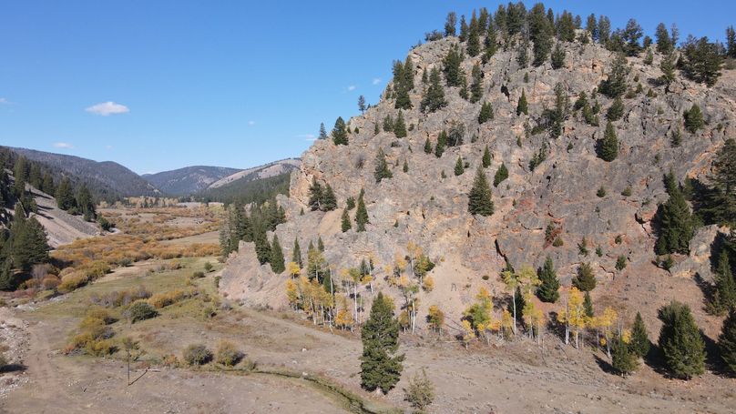 NE corner of property