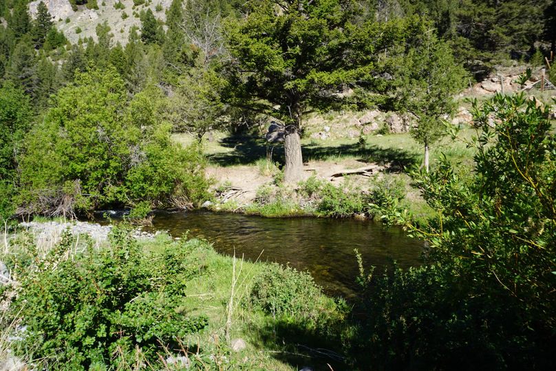 Jerry cr looking west