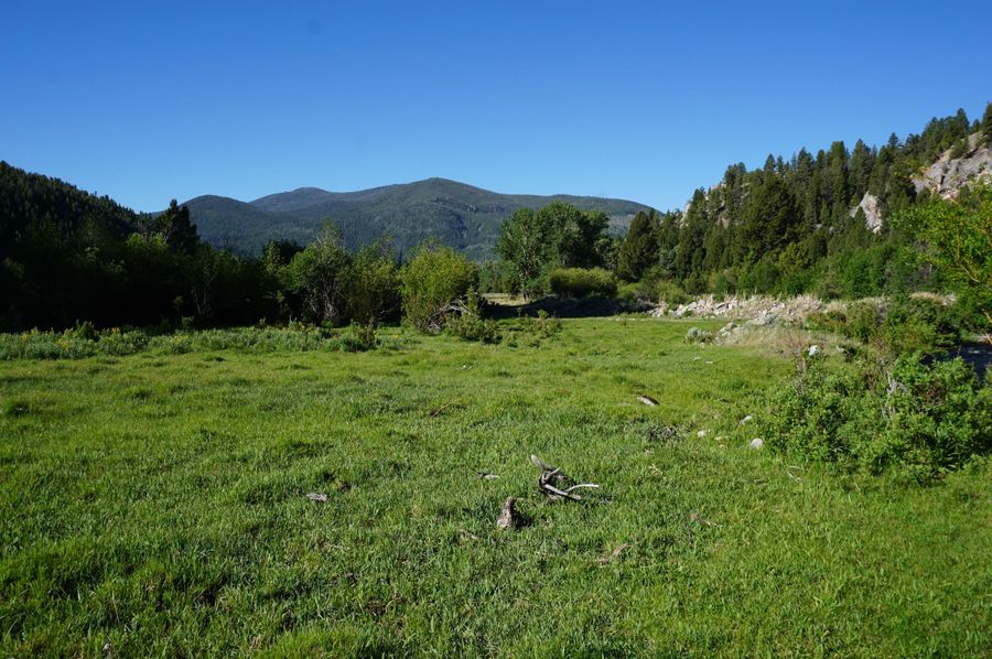 Pasture