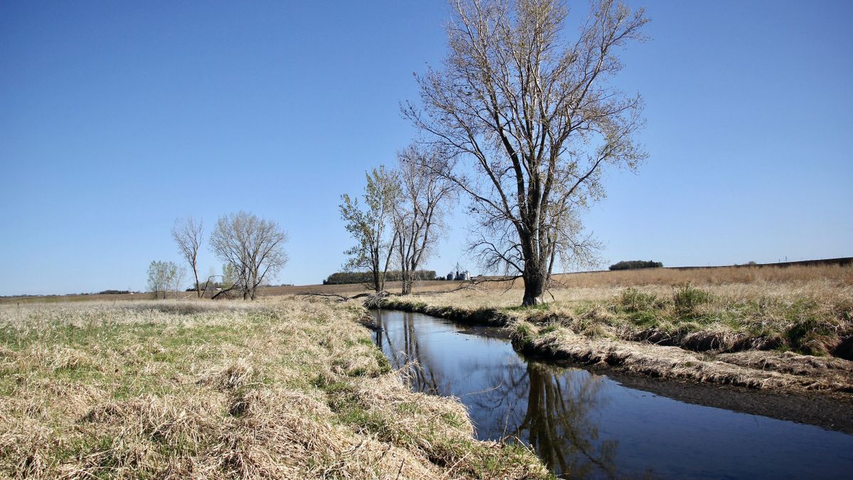 Lake Shetek Area Recreational Property Whitetail Properties