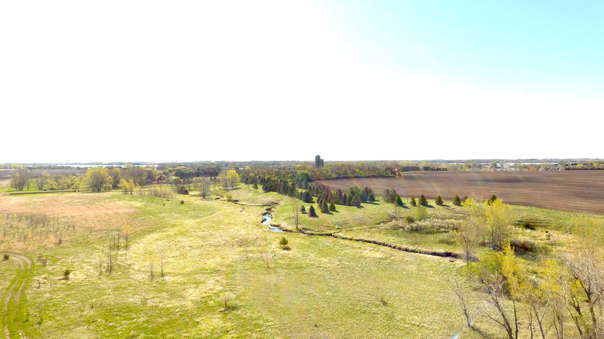 Recreational Property With CRP Near Lake Shetek Whitetail