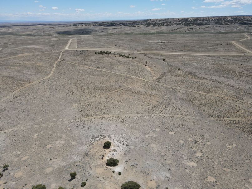 Photo 6553614 dji 14 jpg 7105868 0 2021511122654 photo original