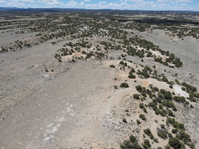 Photo 6553616 dji 16 jpg 7540981 0 202151112278 photo original