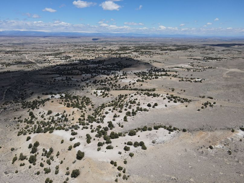 Photo 6553619 dji 19 jpg 6267555 0 2021511122840 photo original