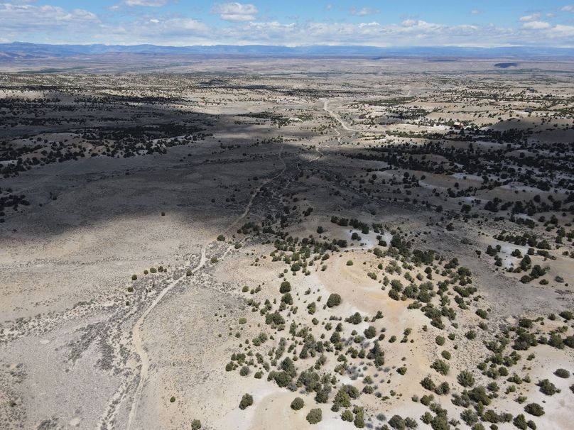 Photo 6553620 dji 20 jpg 6556684 0 2021511122912 photo original