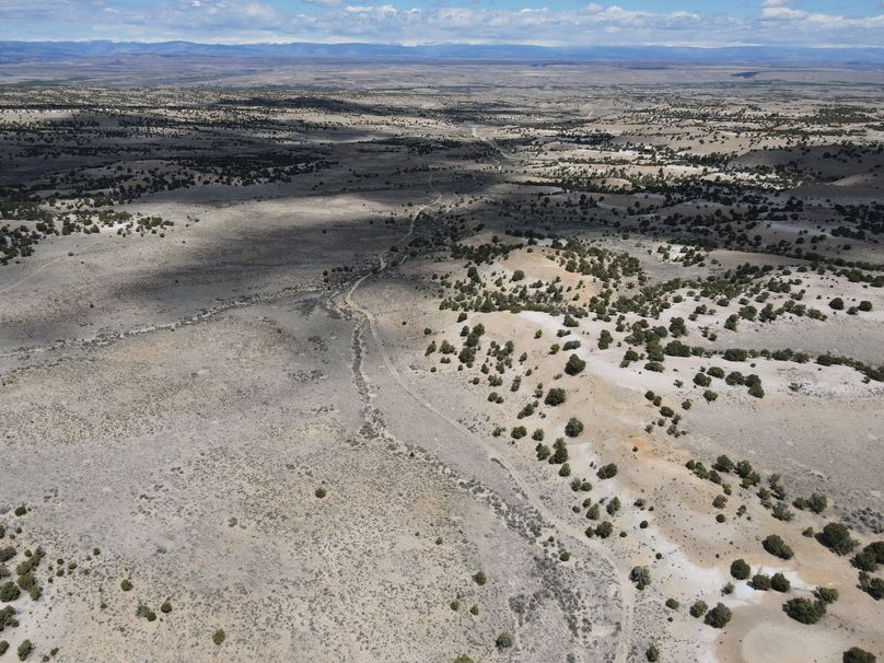 Photo 6553623 dji 23 jpg 6745988 0 2021511123026 photo original