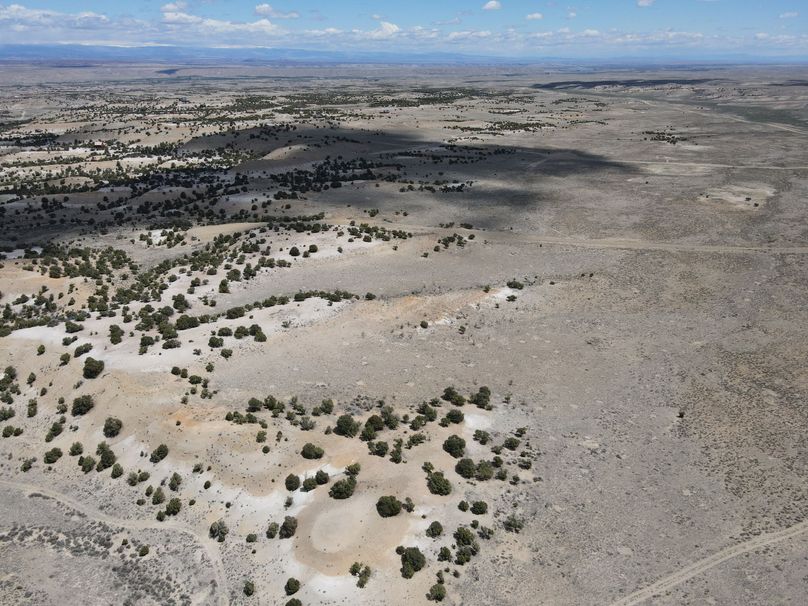 Photo 6553624 dji 24 jpg 6581728 0 2021511123030 photo original