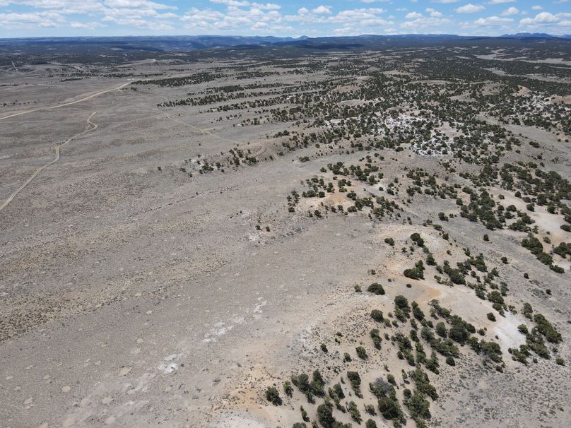 Photo 6553625 dji 25 jpg 7154692 0 2021511123044 photo original