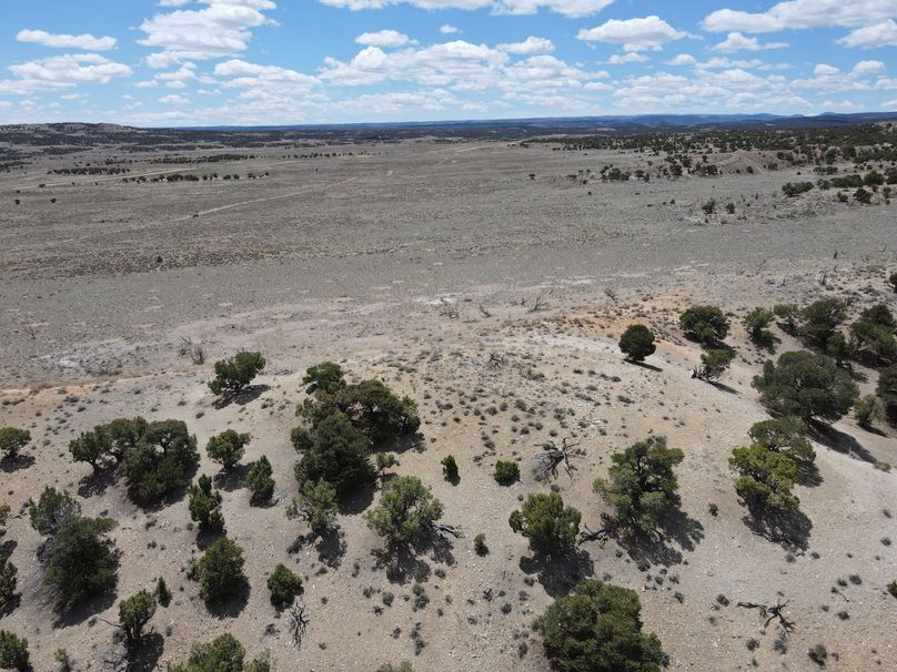 Photo 6553627 dji 27 jpg 7125644 0 2021511123230 photo original