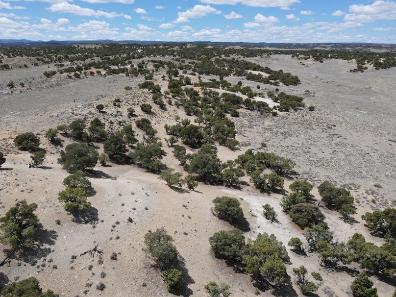 Photo 6553628 dji 28 jpg 7462791 0 2021511123236 photo original