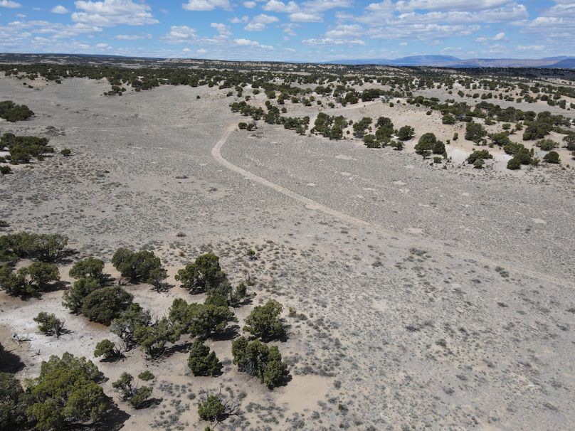 Photo 6553629 dji 29 jpg 6988519 0 2021511123256 photo original