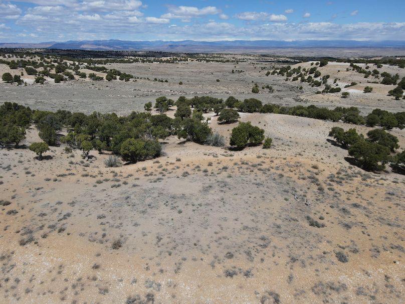 Photo 6553631 dji 31 jpg 6932488 0 202151112348 photo original