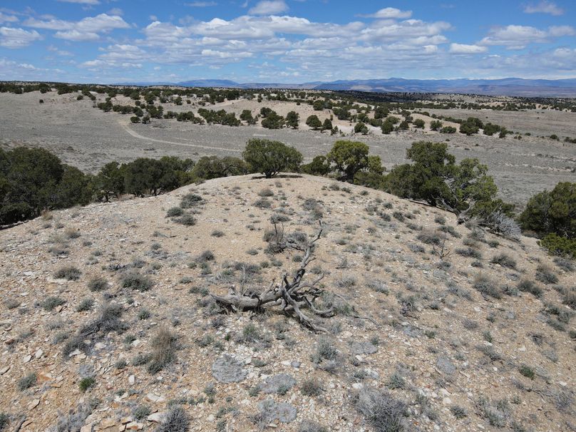 Photo 6553633 dji 33 jpg 7938613 0 2021511123510 photo original