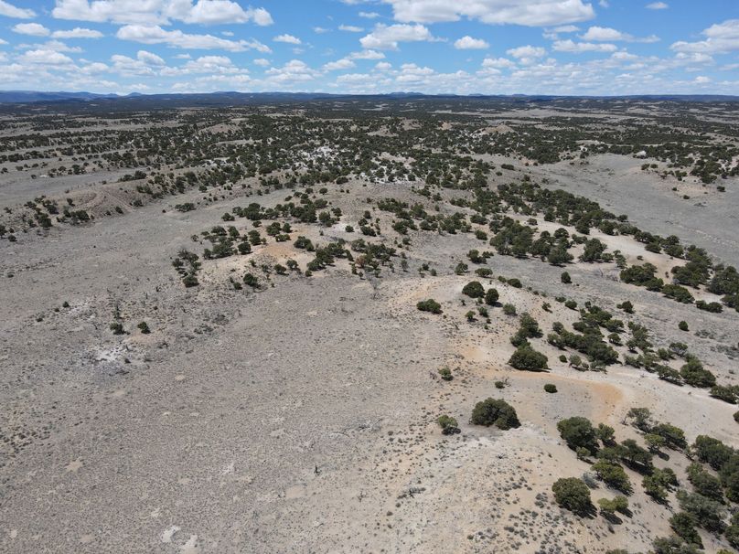 Photo 6553634 dji 34 jpg 6999827 0 2021511123536 photo original