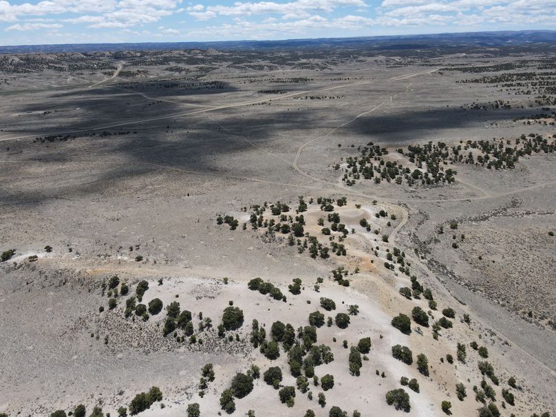 Photo 6553660 dji 60 jpg 6827430 0 2021511124350 photo original