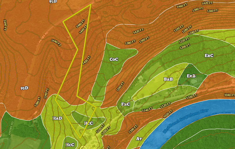 Screen shot 2021-05-17 at 8.53.13 am