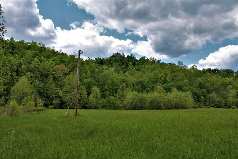008 nice tillable land in the center of the property with electric readily available