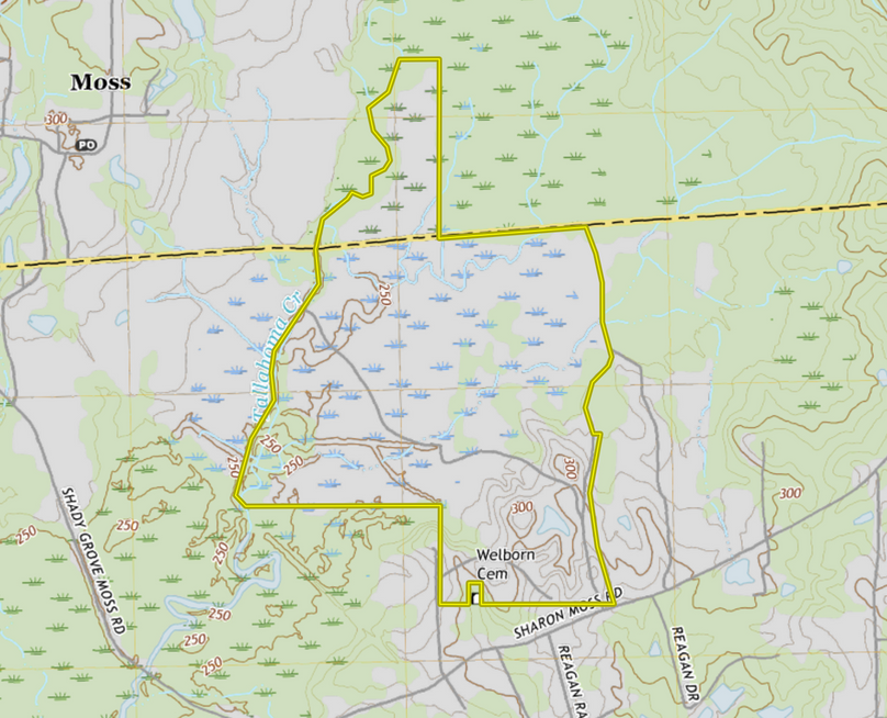 Screen shot 2021-04-14 at 4.51.50 pm