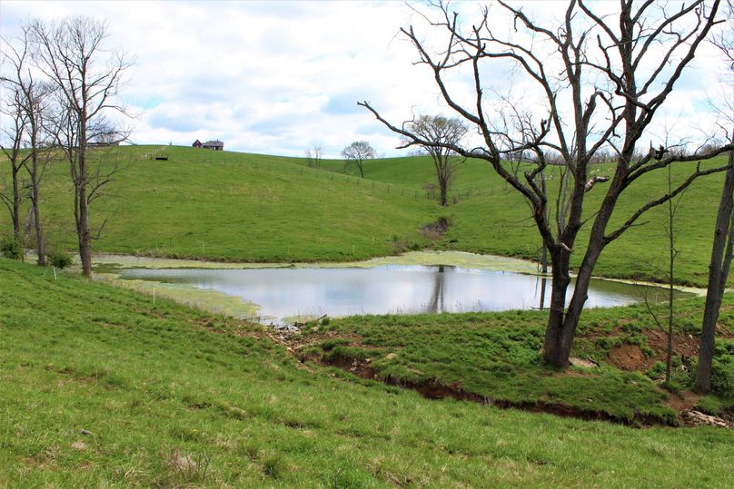 004 the 1 4 acre pond in the middle of the property for livestock needs
