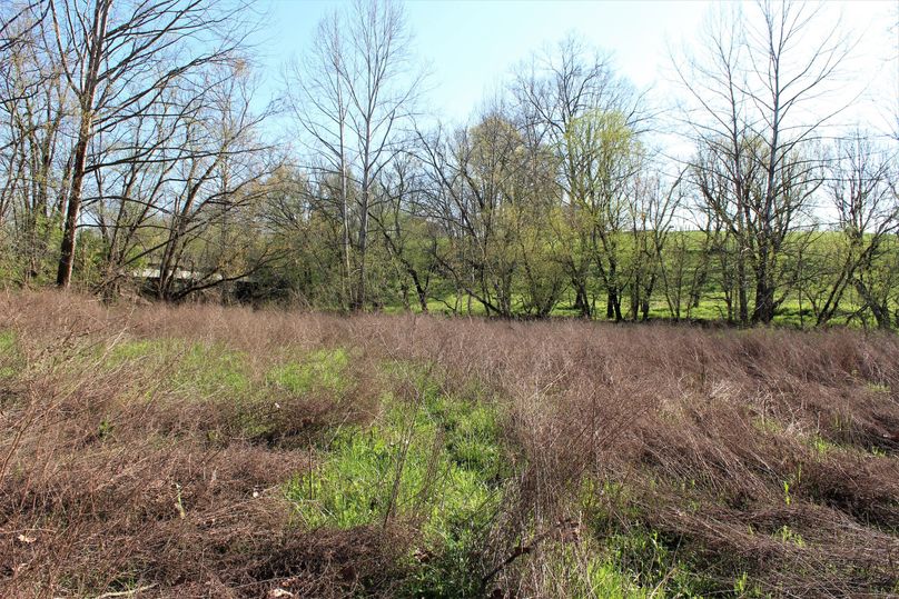 019 the open field area near hinkston creek, perfect for food plot or a garden