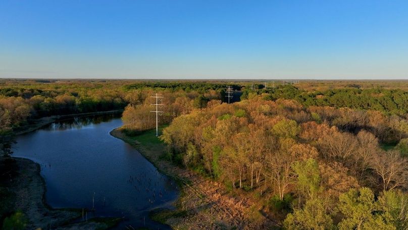 WILLIAMSON, IL 65.00_16_30_11.Still056